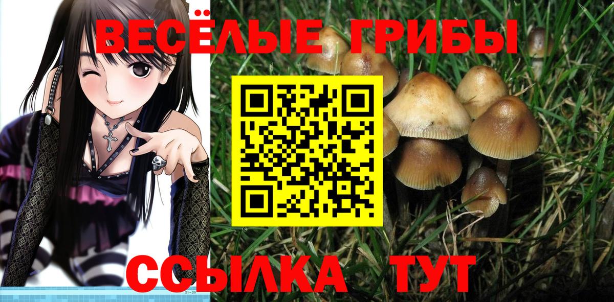 Псилоцибиновые грибы прущие грибы Барабинск